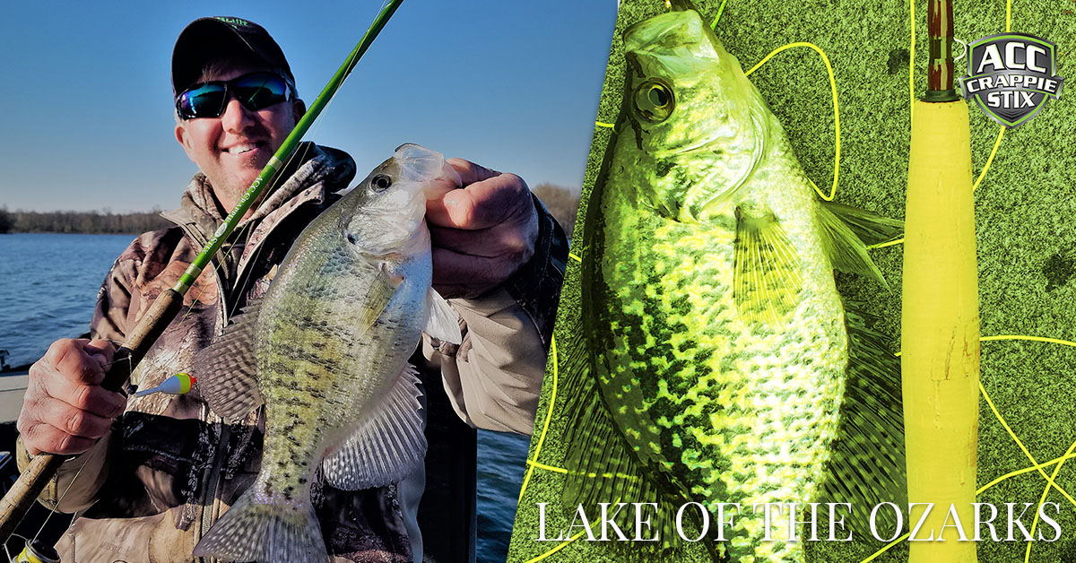 5 Crappie Maxx rods