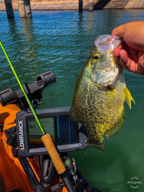 Summer Kayak Fishing - Rebel Crickhopper for Bluegill. Small Creek