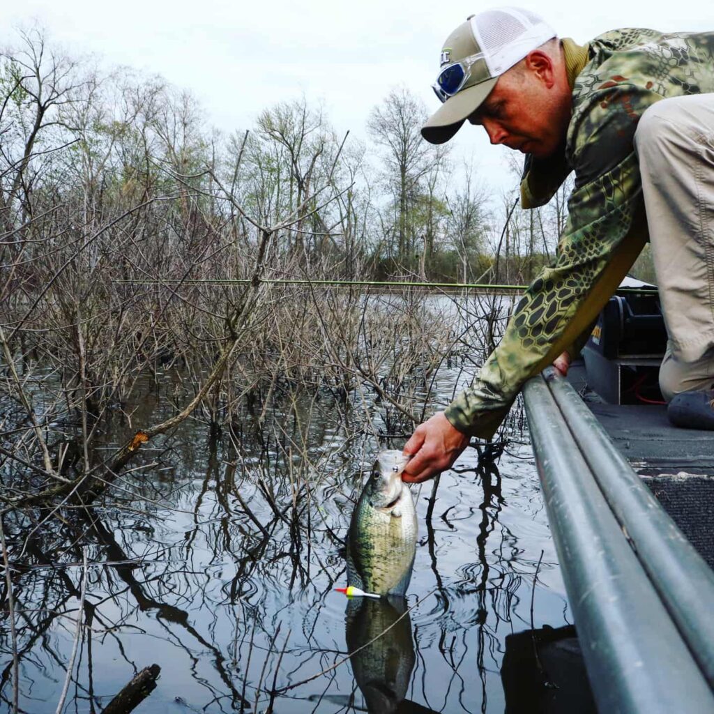 Minnows under a cork is the simplest technique for April crappie in  Mississippi. - Mississippi Sportsman