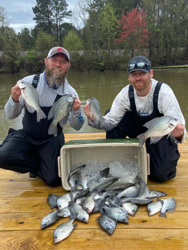 Postspawn Crappie