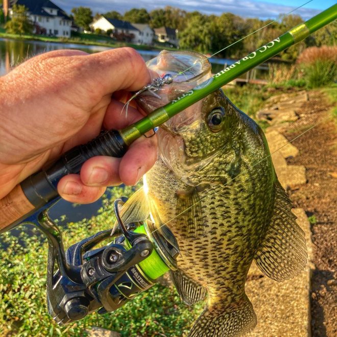 Fly Fishing for Winter Crappie