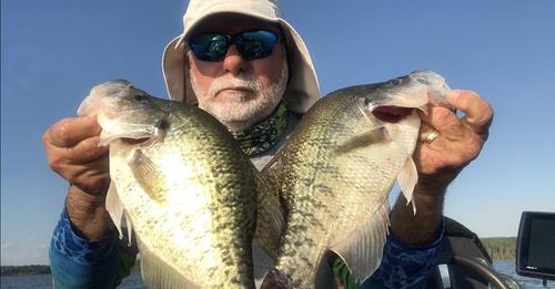 Stren Crappie Mono Fishing Line