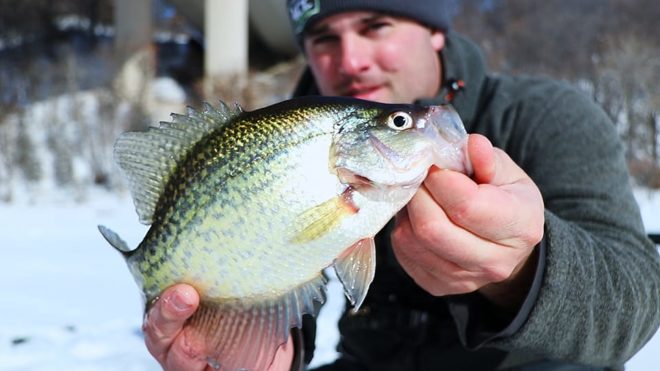 Ice Fishing Tackle Tips To Catch More Crappie