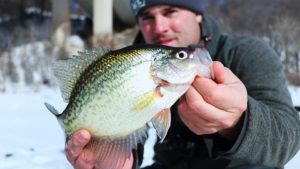 Ice Fishing for Crappie