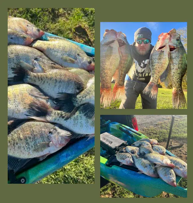 Why We Started and Where We're Going - ACC Crappie Stix