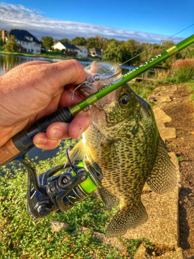 Uprooting 'Cover Crappies' where Others Don't Look - MidWest Outdoors