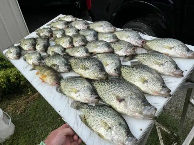 Beat the heat for summer crappie